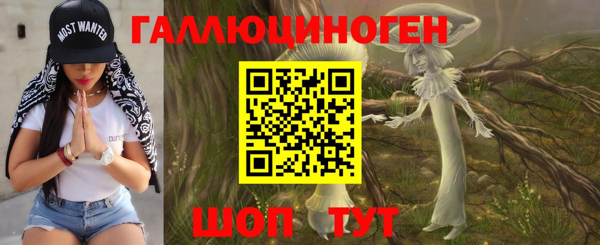 Псилоцибиновые грибы мицелий Губаха