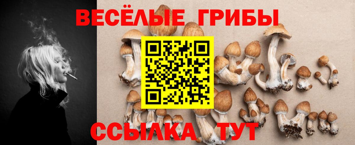 Губаха  Псилоцибиновые грибы мухоморы  Вход с VPN 